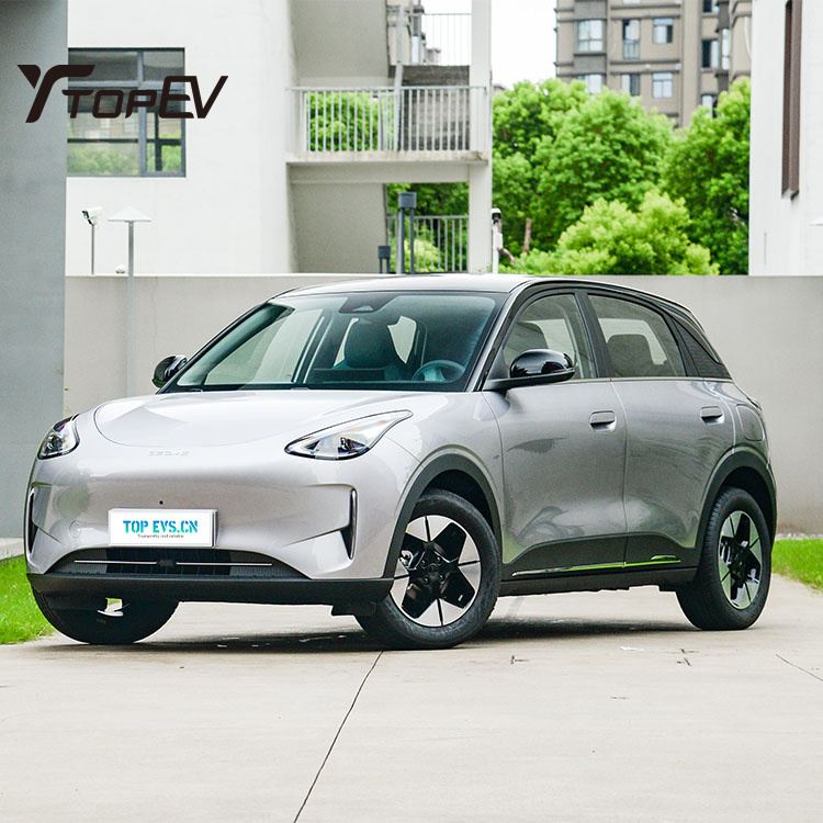 2025 Geely Star Wish 310KM Edición juvenil Vehículo eléctrico compacto